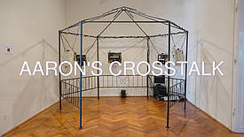 Videostill: Aaron's Crosstalk